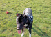 Lurcher cross female