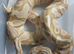 Pandora Royal Python