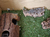 Reptile  vivarium