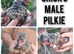 Chicks for sale