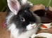 Adorable boy seeking new home
