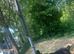 5 Years old Male black German Shepherd Loving home Needed.