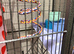 Pet cage and accessories