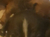 American Bullweiler