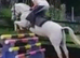 Jumping pony