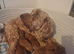 F1b red cockapoo puppies