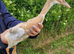 Pure Breed Female Indian Runner Ducks Lincolnshire