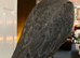 Lovely dark female gyr falcon
