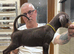 Top Quality Dobermann Puppies Available