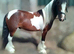 Rising 4 year old skewbald cob gelding standing at 14hh