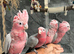 Friendly Baby Handreared Super Tame Cuddly Galah Cockatoo Parrot,13