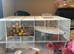 Need it ASAP will accept sensible offer Gerbil hamster cage
