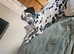 Beautiful 8-Month-Old Female Dalmatian Looking for a Loving Home