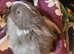 Beautiful boy lop