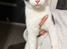 6 cats for sale