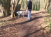 Stunning Dalmatian Dog for sale