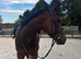 Full Loan wanted - Meet Apollo