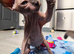 READY NOW, SPHYNX X RAGDOLL