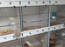 Plastic  canary cages for ssle