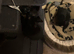 Kittens looking for forever homes
