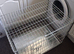 Medium dog crate ( if ad is still showing it's still for sale)