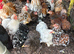 Pekin hens for sale