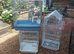 Bird cages for sale