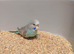 Young budgies for homing