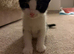 Looking for new home