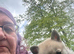Stunning puppies show or pet