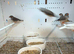 Young zebra finches