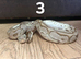 Multiple Royal Pythons For Sale