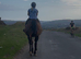 16hh allrounder , 9 yr old