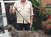 English Deerhound 26 Generation