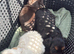 Cocker spaniel pups
