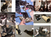 Kittens for sale