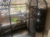Very Large Parrot Cage