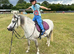 Lead rain and seconded pony