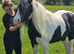 12hh riding mare