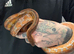 Corn snake for sale with viv