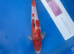 Koi carp 37cm sanke