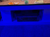 Leopard gecko
