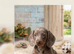 8-week-old Miniature Dachshund puppies looking for their forever homes. 3 boys and 1 girl.
