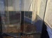 Multiple vivs and exo terra tank for sale