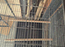 5 bird cages