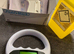 Pet microchipping - Pregnancy Scans