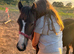 Dartmoor x Blagdon colt