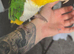 Yellow thighed caique