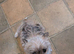 Love little boy needs a new loving home