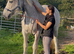 For sale 17.3hh Percheron mare